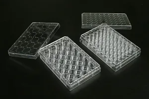 48 Well, Multi Well Cell  Culture Plates, 1 plate/bag, 100/cs