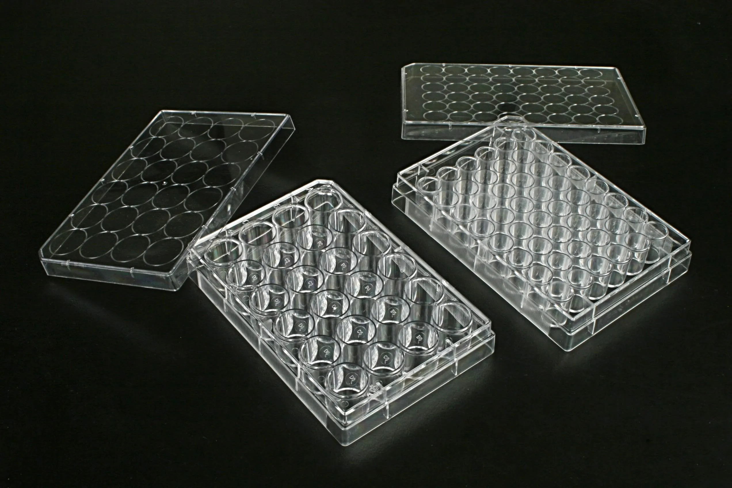 48 Well, Multi Well Cell  Culture Plates, 1 plate/bag, 100/cs