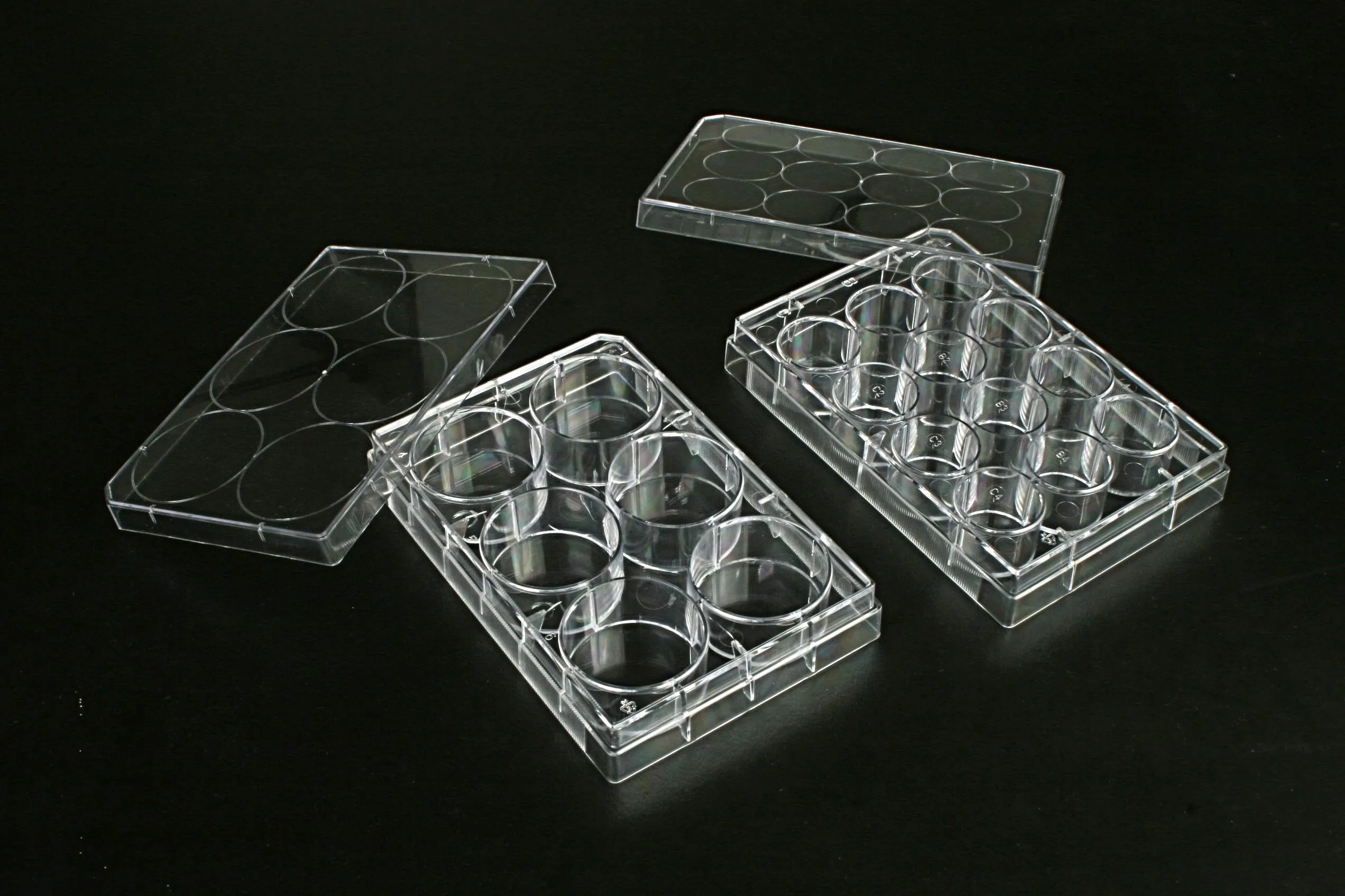 6 Well Multi Well Cell  Culture Plates, 1 plate/bag, 100/cs