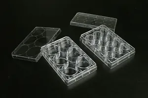 6 Well Multi Well Cell  Culture Plates, 1 plate/bag, 100/cs