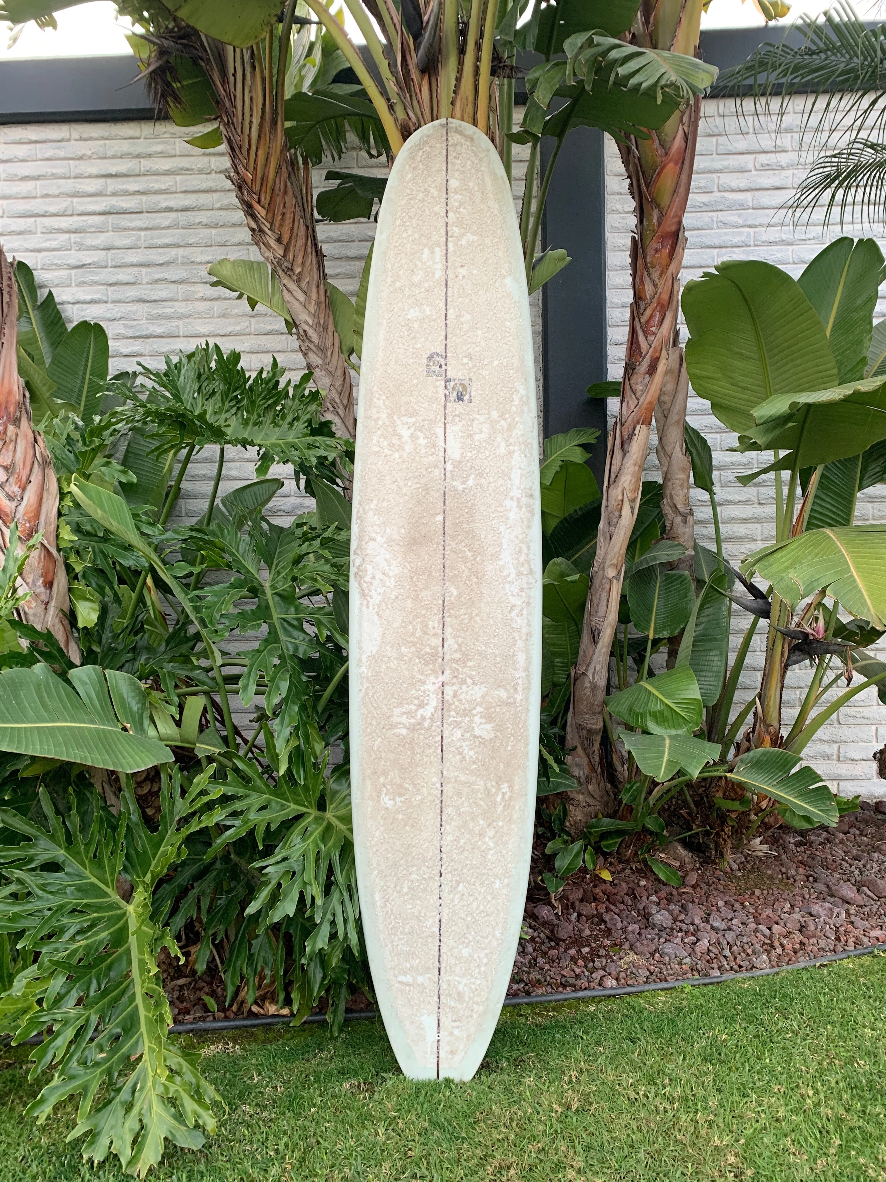 9'4" Kris Hall Daily Cup (Used)