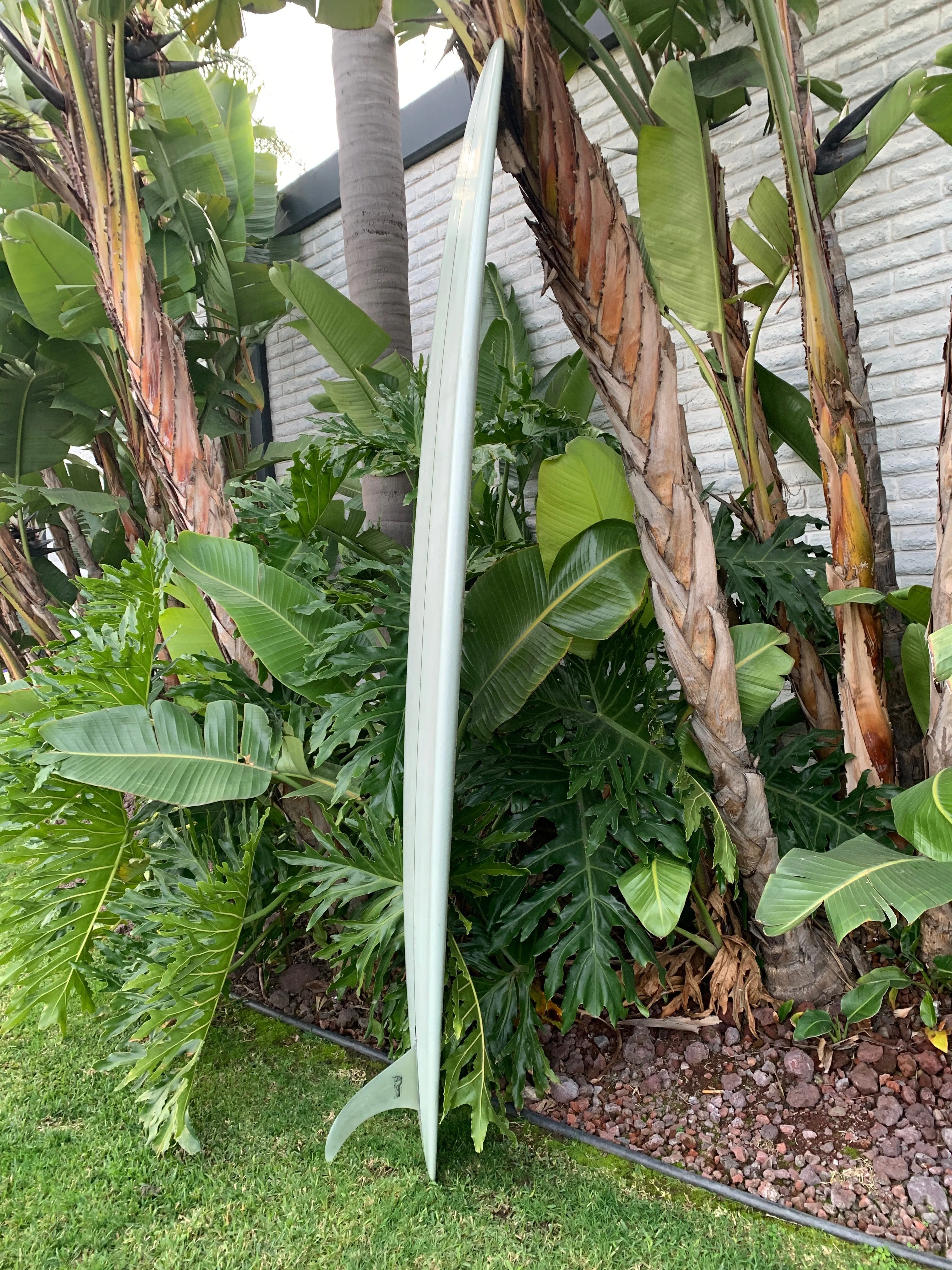 9'4" Kris Hall Daily Cup (Used)