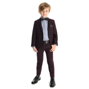 Appaman Burgundy Plaid Mod Suit
