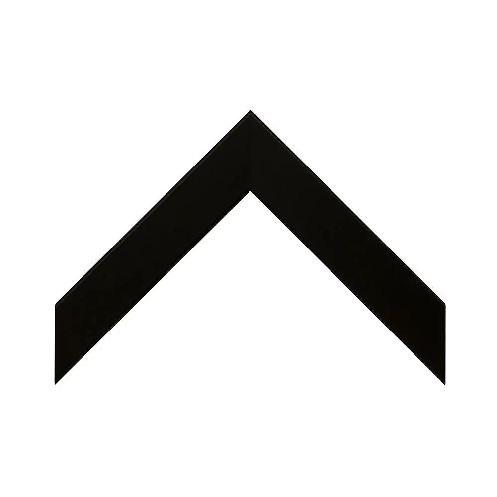 Argonaut
