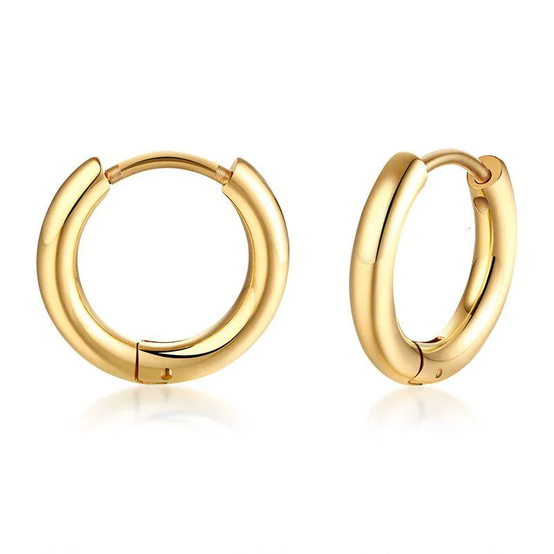Cycolinks Classic Hoop Earrings