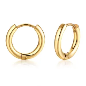 Cycolinks Classic Hoop Earrings