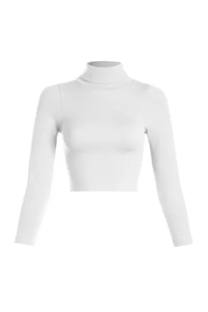 Defined Turtleneck | Top