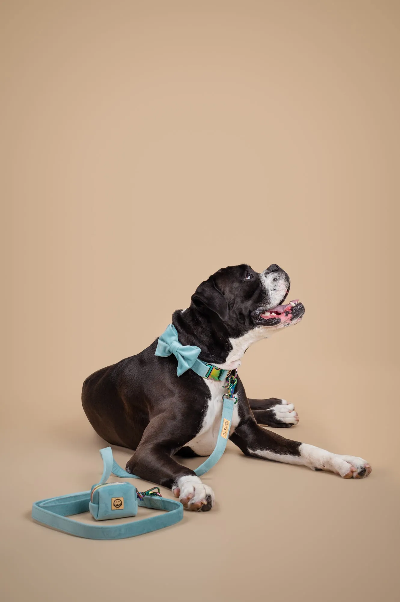 Deluxe Bundle - Molly Velvet