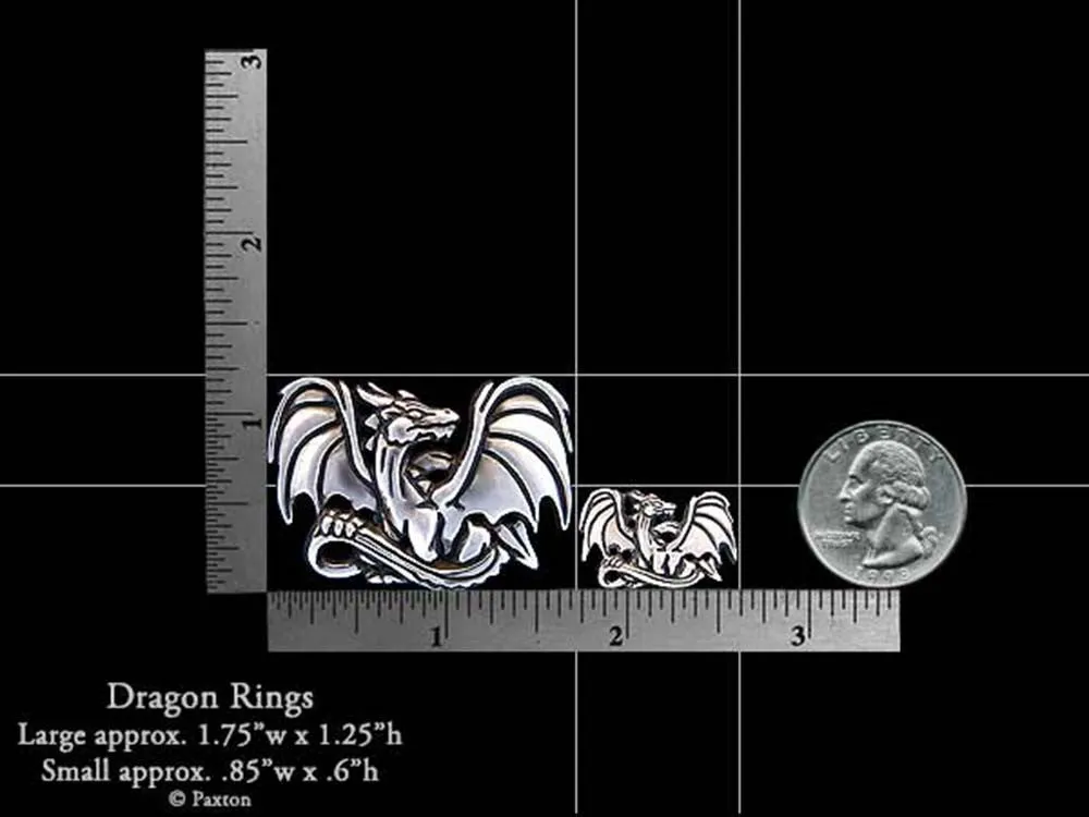 Dragon Lapel Pin or Dragon Brooch Sterling Silver