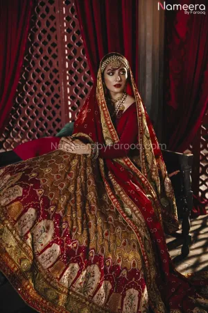 Heavily Embellished Red Velvet Lehenga Choli #BN849