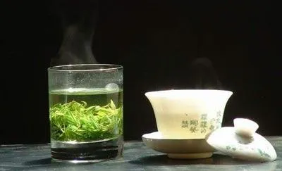 Kuding Tea 苦丁茶