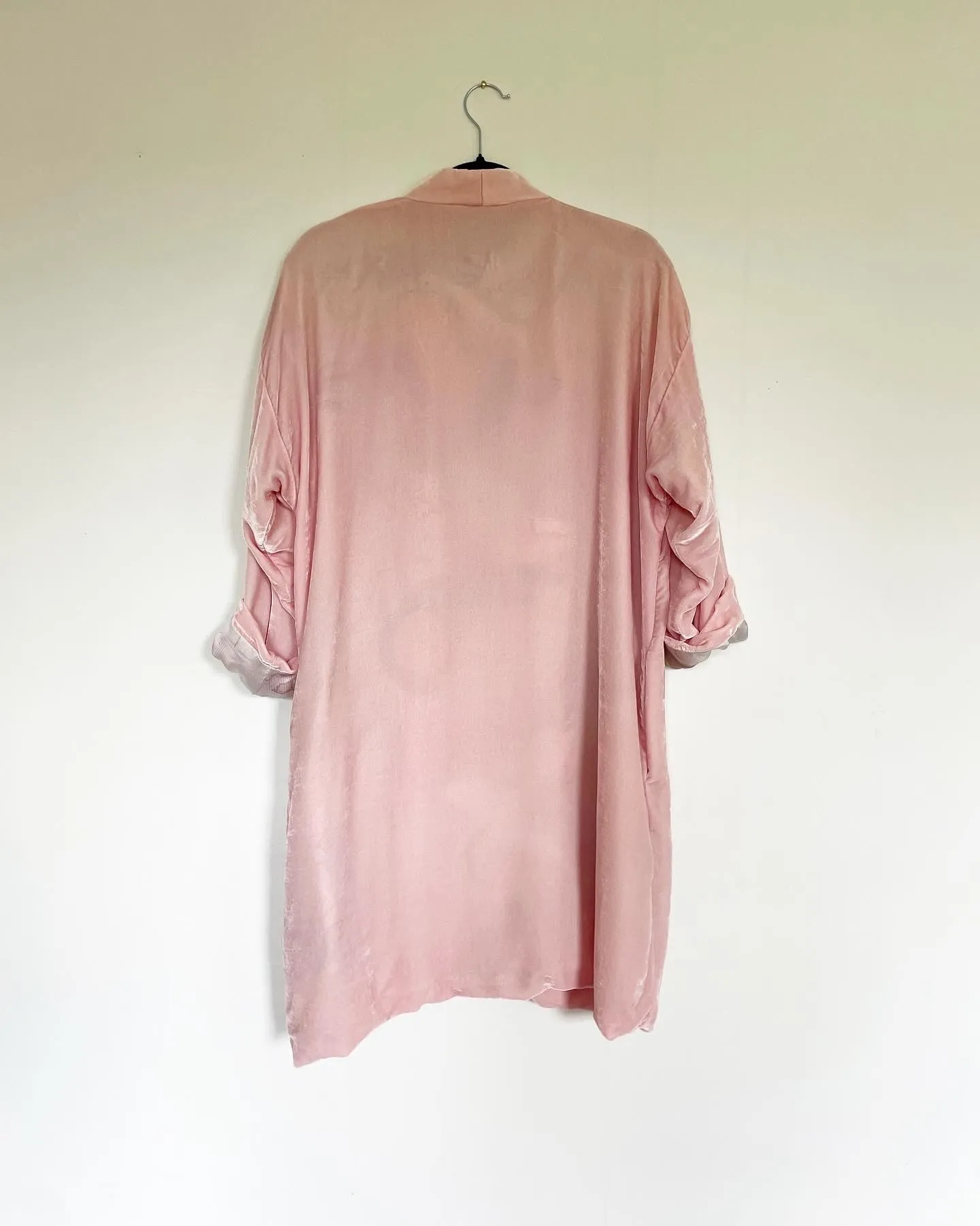 Light Pink Silk Velvet Caftan with Parakeet  Artwork