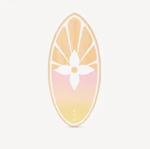 Louis Vuitton Surfboard GI0593