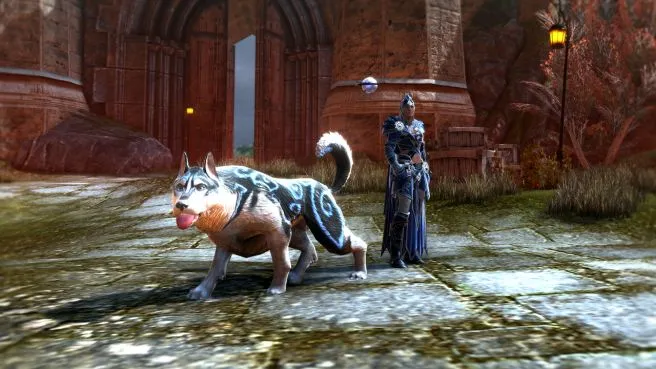 Neverwinter Feywild Starter Pack (PC)