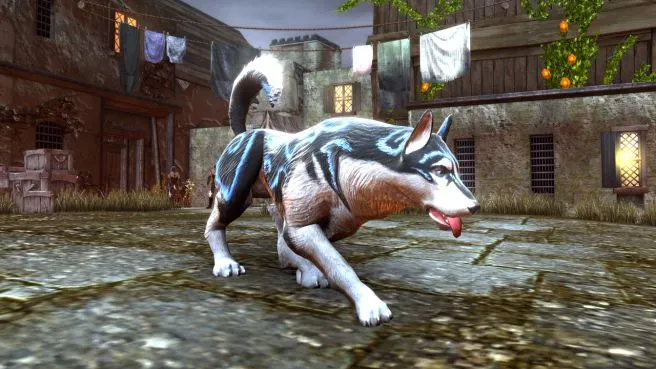Neverwinter Feywild Starter Pack (PC)