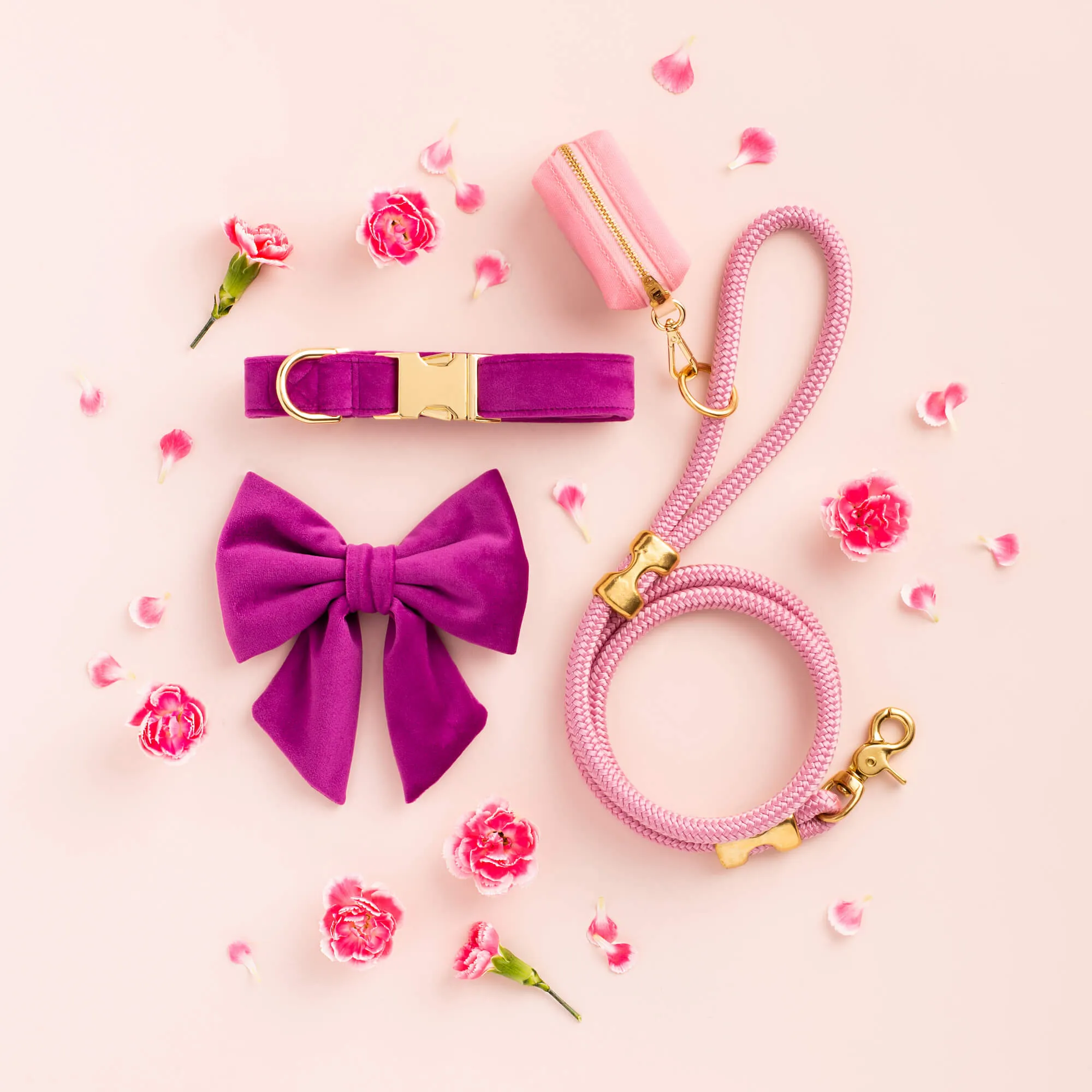 Plum Velvet Dog Collar