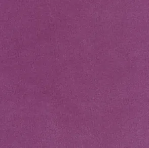 Plum Velvet Dog Collar