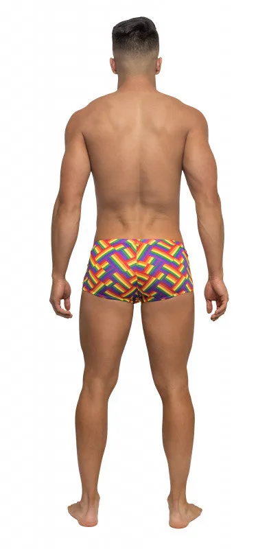 Pride Fest - Mini Short - X-Large - Print