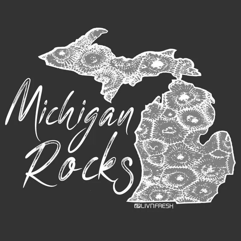 "Michigan Rocks Petoskey Stone" Ladies Boxy 1/2 Zip Fleece