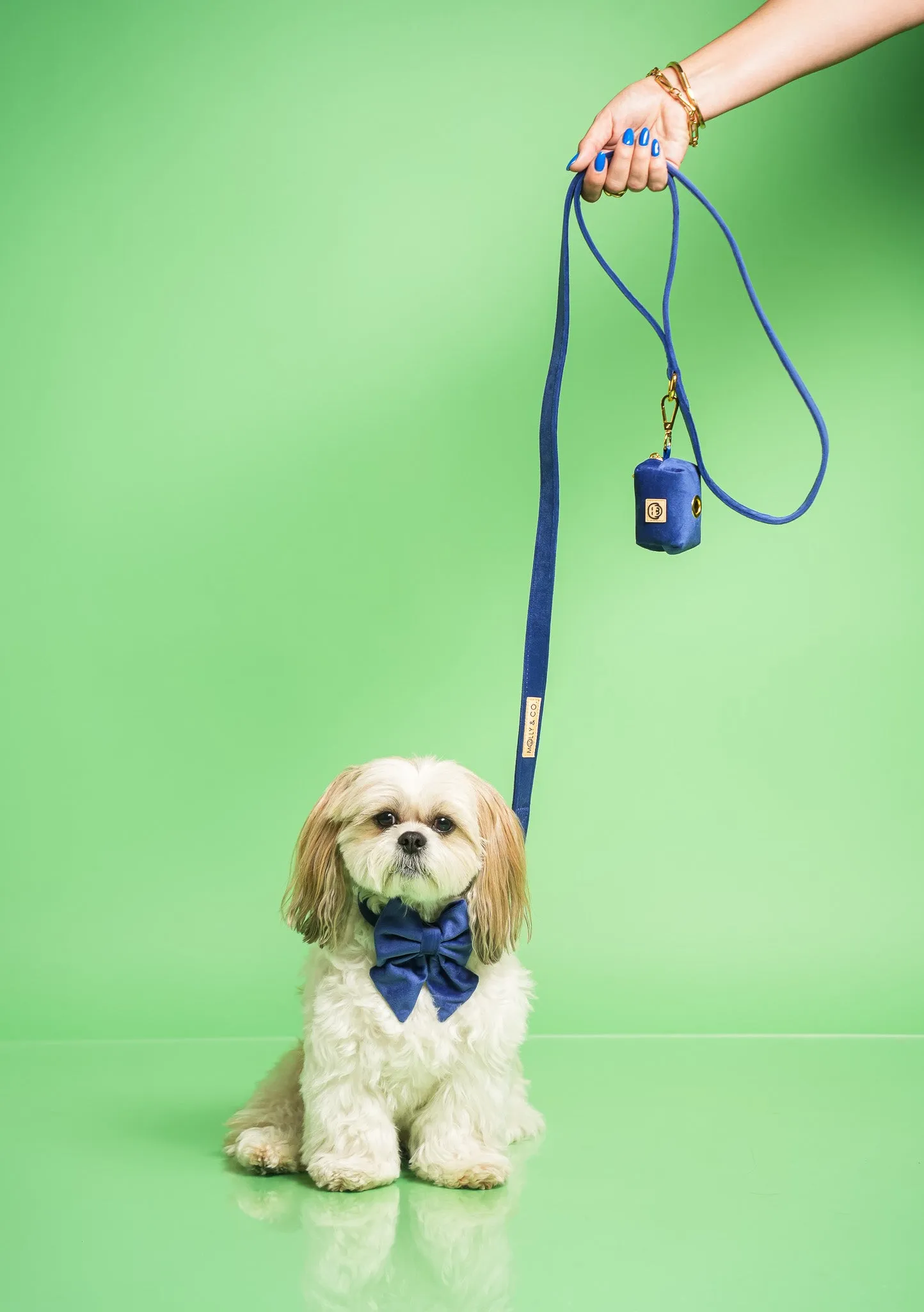 Royal Velvet - Dog Leash