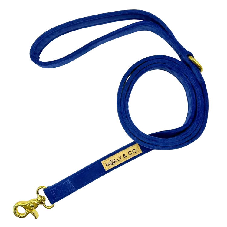 Royal Velvet - Dog Leash