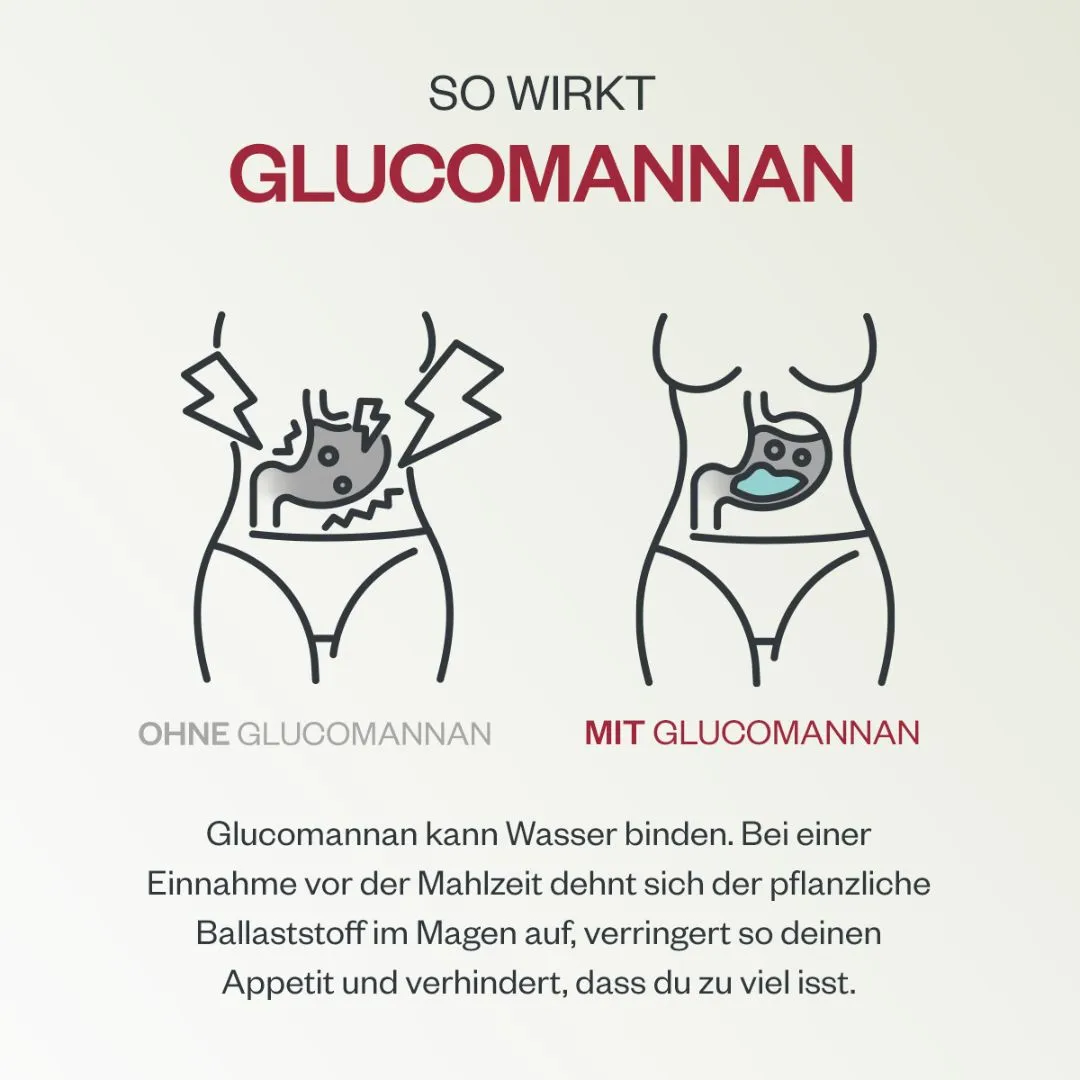 Schlank & Satt Starter