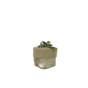 Slouchy Planters - Golden