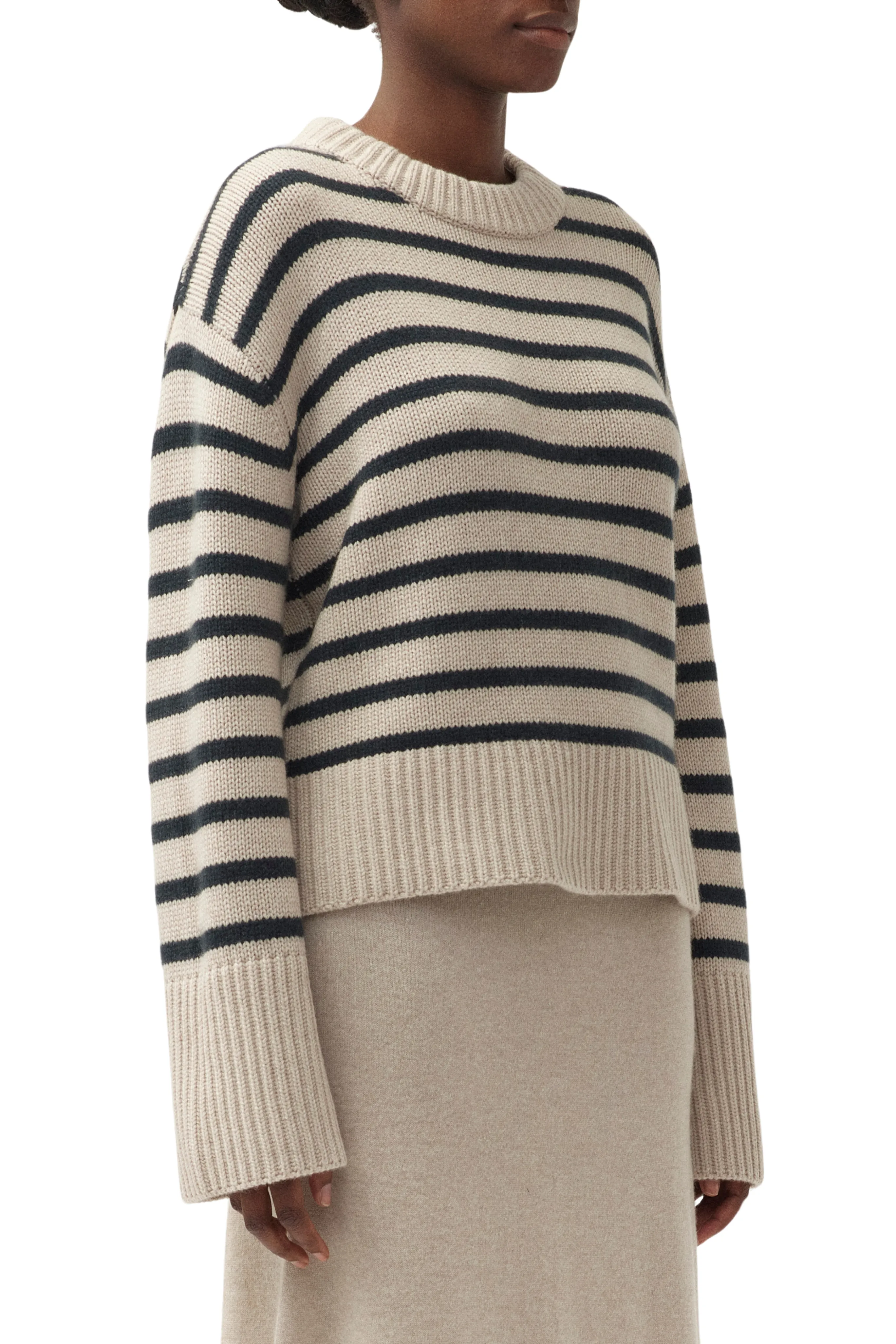 Sony Stripe Sweater