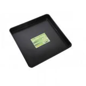 Square Tray