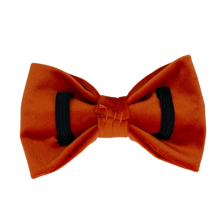 Tangerine Velvet - Dog Bowtie