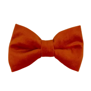 Tangerine Velvet - Dog Bowtie