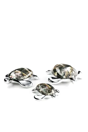 Turtle Flat 3 Pcs Set