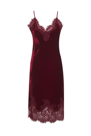Velvet Coco Lace Dress Dalia Red
