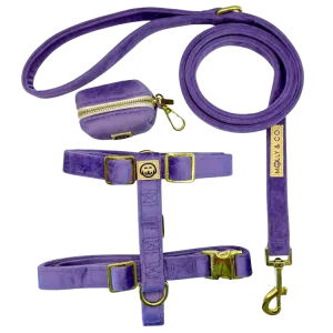 Violet Velvet - Walking Bundle