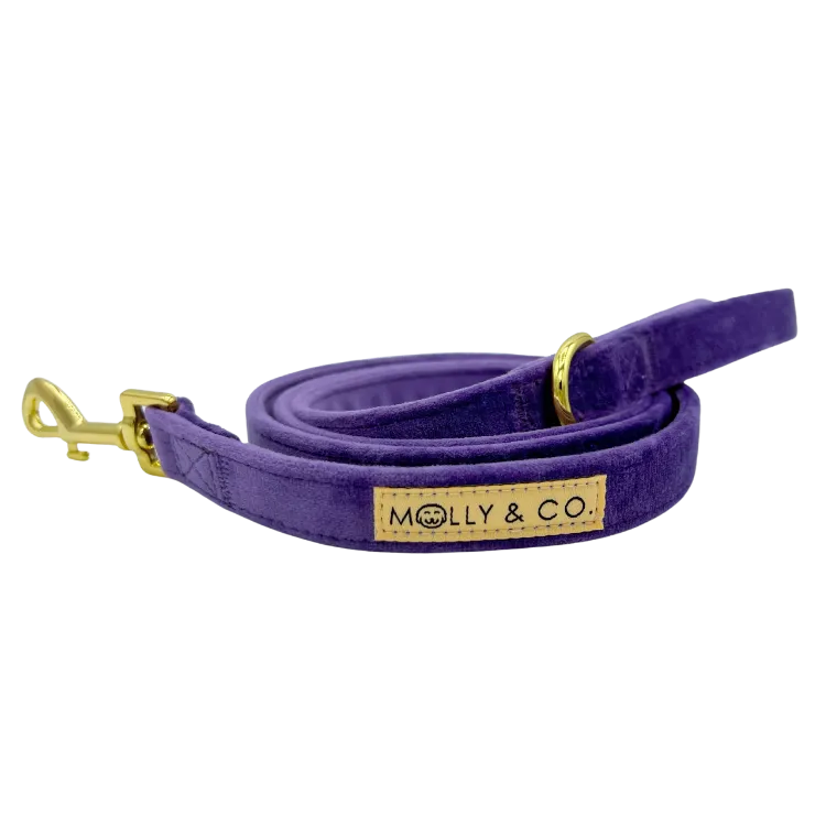 Violet Velvet - Walking Bundle