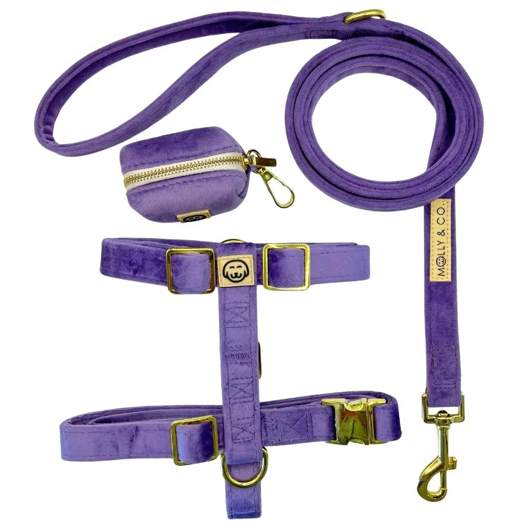 Violet Velvet - Walking Bundle